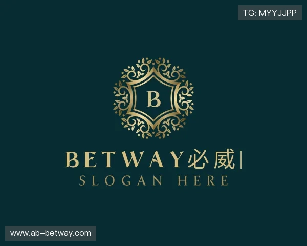 解读BETWAY必威